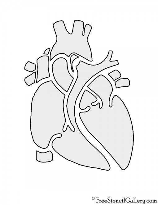 Anatomical Heart Stencil