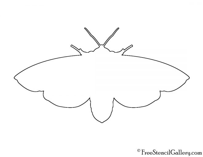 Tiger Moth Silhouette Stencil