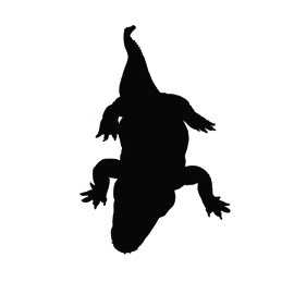 Alligator Silhouette Stencil 02