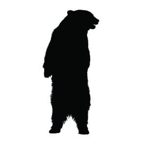 Bear Standing Silhouette Stencil