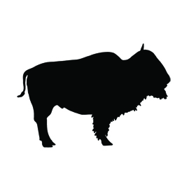 Buffalo Silhouette Stencil