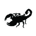 Scorpion Silhouette Stencil