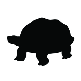Turtle Silhouette Stencil