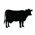 Cow Silhouette Stencil