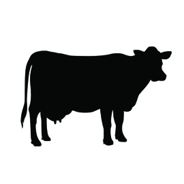 Cow Silhouette Stencil