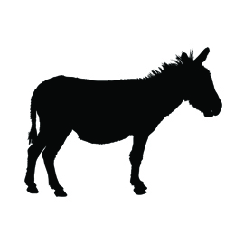 Donkey Silhouette Stencil 02