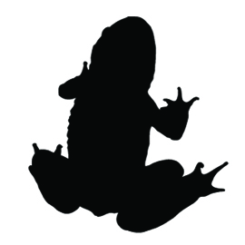 Frog Silhouette Stencil