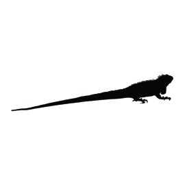 Iguana Silhouette Stencil