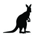Kangaroo Silhouette Stencil