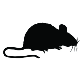 Mouse Silhouette Stencil