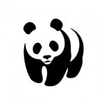 Panda Stencil