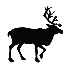 Reindeer Silhouette Stencil