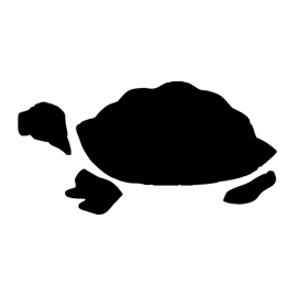Turtle Stencil 02