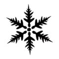 Snowflake Stencil 16