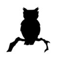 Owl Silhouette Stencil