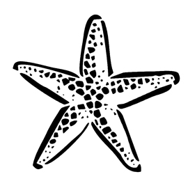 Starfish Stencil 01