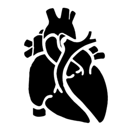 Anatomical Heart Stencil Free Stencil Gallery