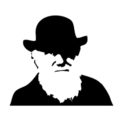 Charles Darwin Stencil