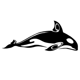 Killer Whale Stencil