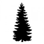 Pine Tree Stencil