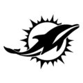 NFL Miami Dolphins Stencil