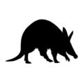 Aardvark Silhouette Stencil