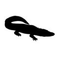 Alligator Silhouette Stencil