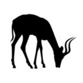 Antelope Silhouette Stencil