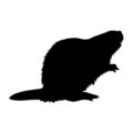 Beaver Silhouette Stencil