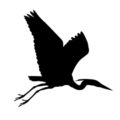 Blue Heron Silhouette Stencil