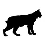 Bobcat Silhouette Stencil