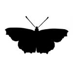 Butterfly Silhouette Stencil