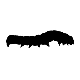 Caterpillar Silhouette Stencil