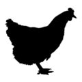 Chicken Silhouette 02 Stencil