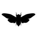 Cicada Silhouette Stencil
