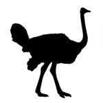 Ostrich Silhouette Stencil