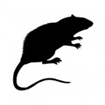 Rat Silhouette Stencil