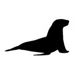 Sea Lion Silhouette Stencil