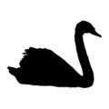 Swan Silhouette Stencil