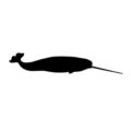 Narwhal Silhouette Stencil