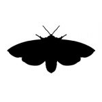 Tiger Moth Silhouette Stencil