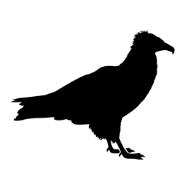 Vulture Silhouette Stencil