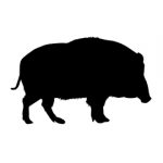 Wild Boar Silhouette Stencil 