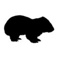 Wombat Silhouette Stencil