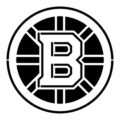 NHL - Boston Bruins Logo Stencil