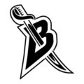 NHL - Buffalo Sabers Logo Stencil