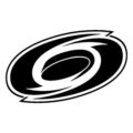 NHL - Carolina Hurricanes Logo Stencil